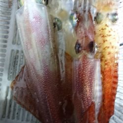 海龍丸（福岡） 釣果