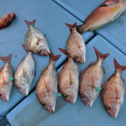 十八宝洋丸 釣果