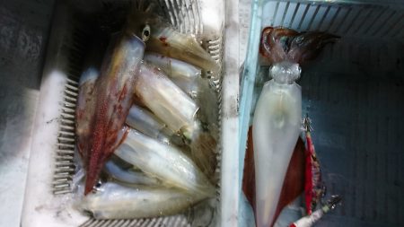 海龍丸（福岡） 釣果