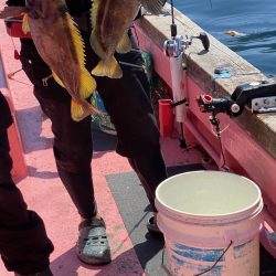 第八平成丸 釣果