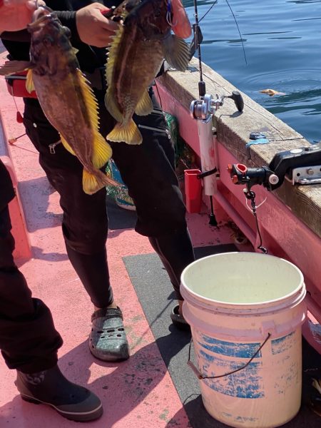 第八平成丸 釣果