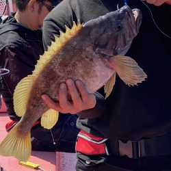 第八平成丸 釣果