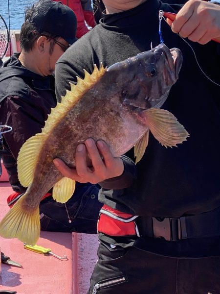 第八平成丸 釣果