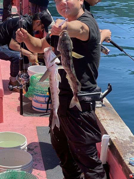 第八平成丸 釣果