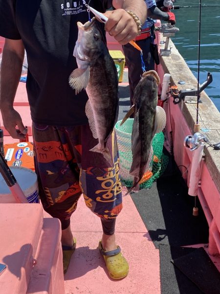 第八平成丸 釣果