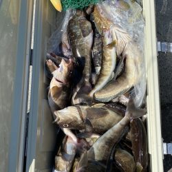 第八平成丸 釣果