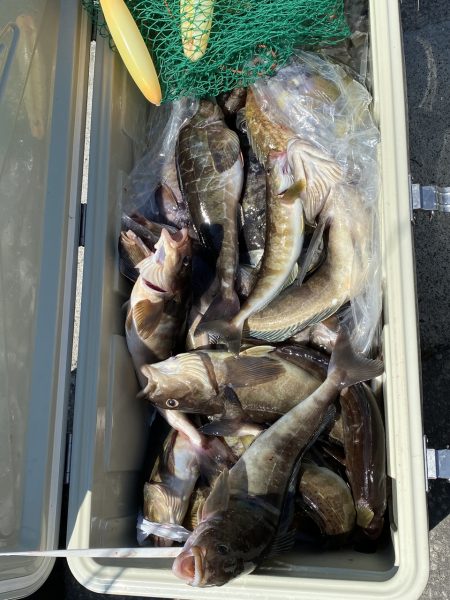 第八平成丸 釣果