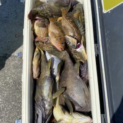 第八平成丸 釣果