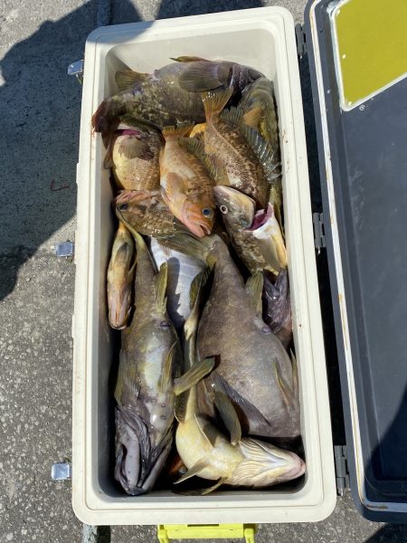 第八平成丸 釣果