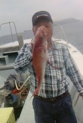 桃太郎丸 釣果