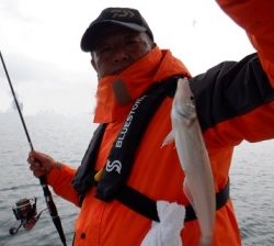 遊漁船 幸友丸 釣果