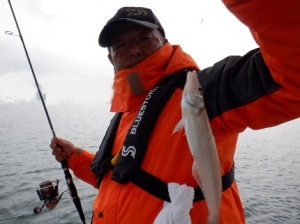 遊漁船 幸友丸 釣果