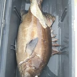 モンロー号 釣果