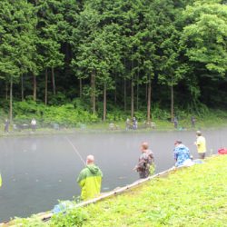 小菅トラウトガーデン 釣果