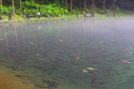 小菅トラウトガーデン 釣果