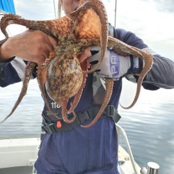 武士(SAMURAI) 釣果