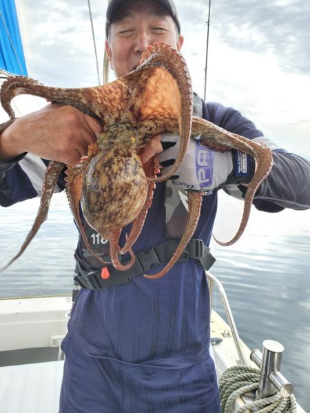 武士(SAMURAI) 釣果