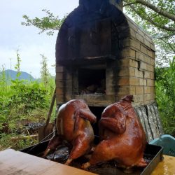 武士(SAMURAI) 釣果