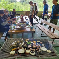 武士(SAMURAI) 釣果