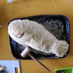 武士(SAMURAI) 釣果