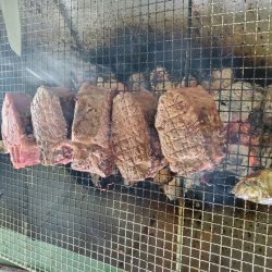 武士(SAMURAI) 釣果