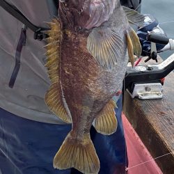 第八平成丸 釣果