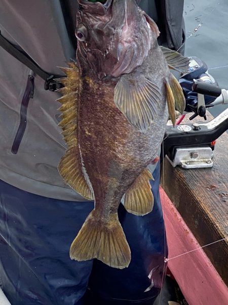 第八平成丸 釣果