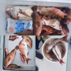 内浜丸 釣果