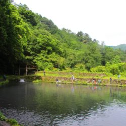 小菅トラウトガーデン 釣果