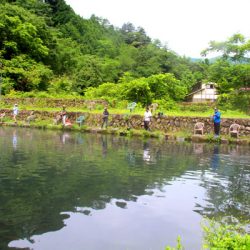 小菅トラウトガーデン 釣果