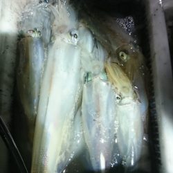 海龍丸（福岡） 釣果