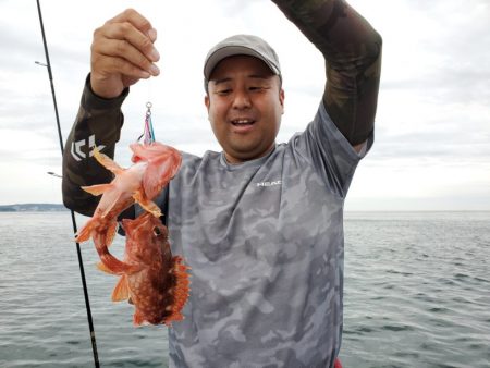 ブルーピア 釣果