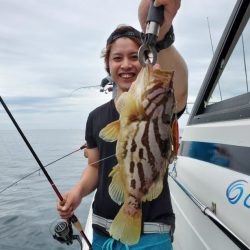 ブルーピア 釣果