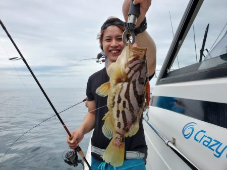 ブルーピア 釣果