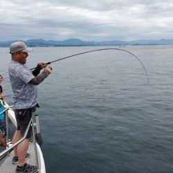 ブルーピア 釣果