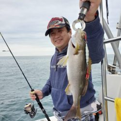 ブルーピア 釣果