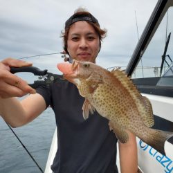 ブルーピア 釣果