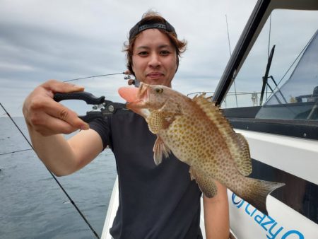 ブルーピア 釣果