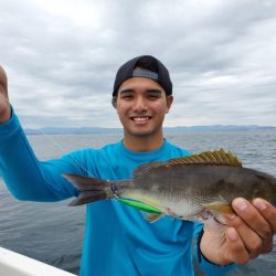 ブルーピア 釣果