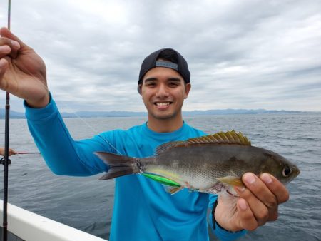 ブルーピア 釣果
