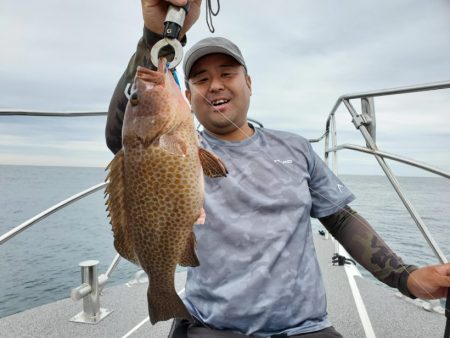 ブルーピア 釣果