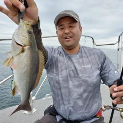 ブルーピア 釣果