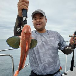 ブルーピア 釣果