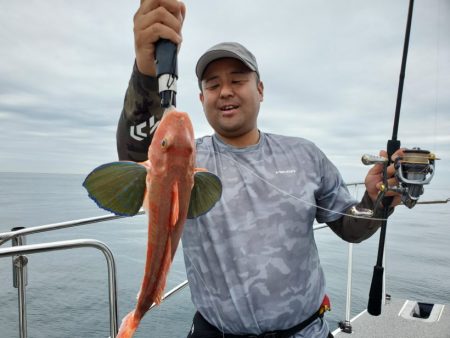 ブルーピア 釣果