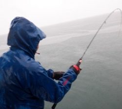 遊漁船 幸友丸 釣果