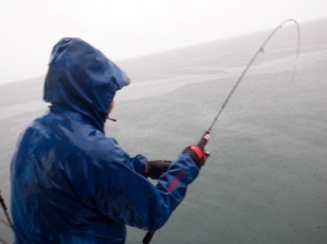 遊漁船 幸友丸 釣果