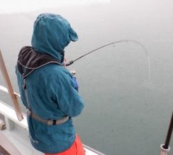 遊漁船 幸友丸 釣果