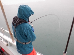 遊漁船 幸友丸 釣果