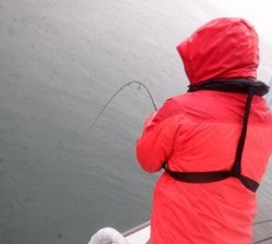 遊漁船 幸友丸 釣果