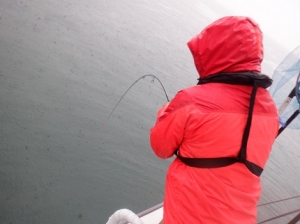 遊漁船 幸友丸 釣果